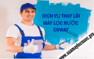 thay loi may loc nuoc coway