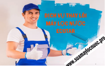 thay loi may loc nuoc ecotar