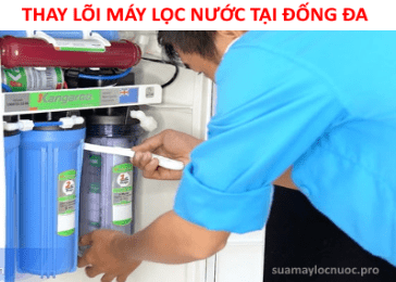 thay loi may loc nuoc tai dong da